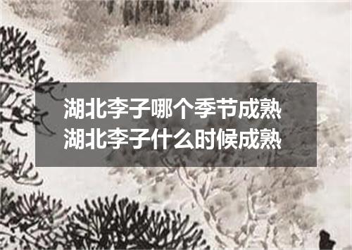 湖北李子哪个季节成熟 湖北李子什么时候成熟