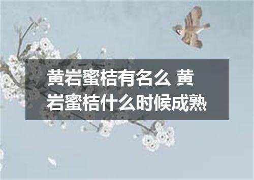 黄岩蜜桔有名么 黄岩蜜桔什么时候成熟