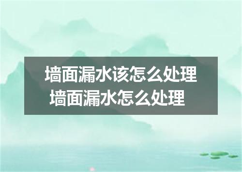 墙面漏水该怎么处理 墙面漏水怎么处理