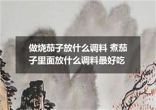 做烧茄子放什么调料 煮茄子里面放什么调料最好吃