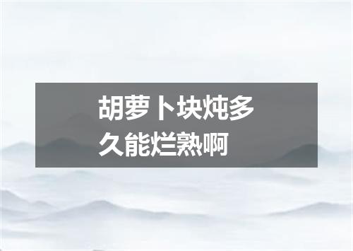 胡萝卜块炖多久能烂熟啊
