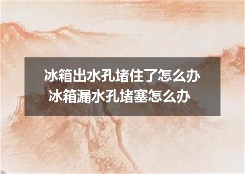 冰箱出水孔堵住了怎么办 冰箱漏水孔堵塞怎么办