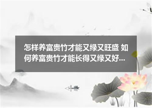 怎样养富贵竹才能又绿又旺盛 如何养富贵竹才能长得又绿又好看