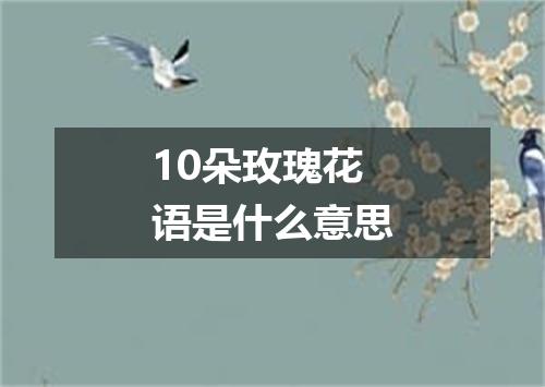 10朵玫瑰花语是什么意思