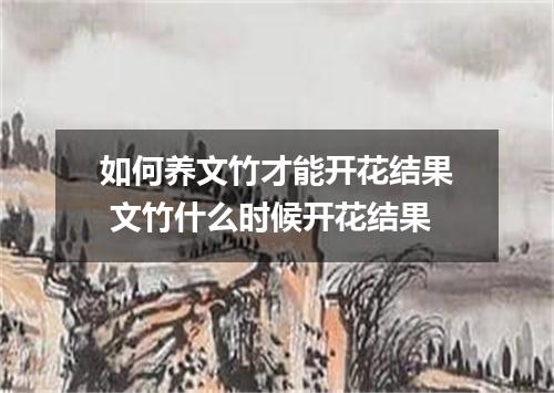 如何养文竹才能开花结果 文竹什么时候开花结果