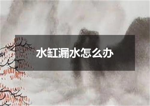 水缸漏水怎么办