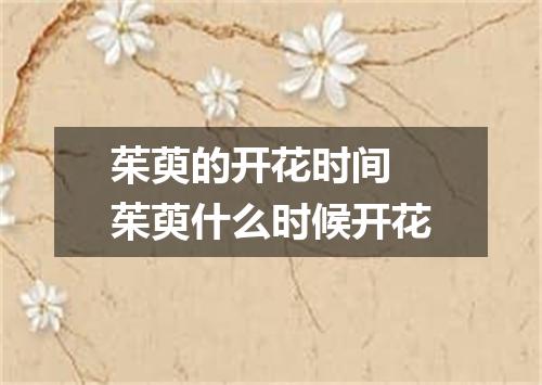 茱萸的开花时间 茱萸什么时候开花