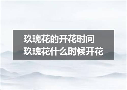 玖瑰花的开花时间 玖瑰花什么时候开花