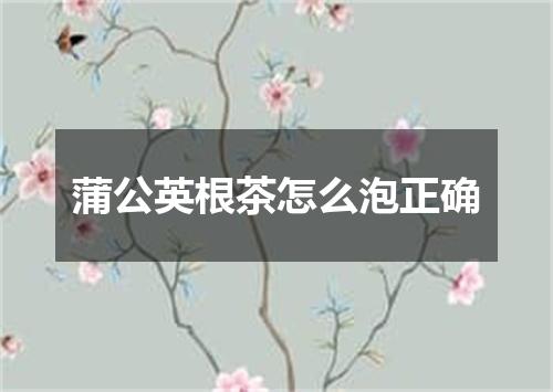 蒲公英根茶怎么泡正确