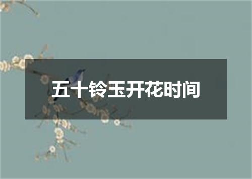 五十铃玉开花时间