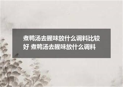煮鸭汤去腥味放什么调料比较好 煮鸭汤去腥味放什么调料