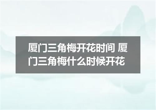 厦门三角梅开花时间 厦门三角梅什么时候开花