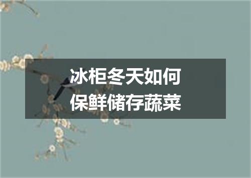 冰柜冬天如何保鲜储存蔬菜