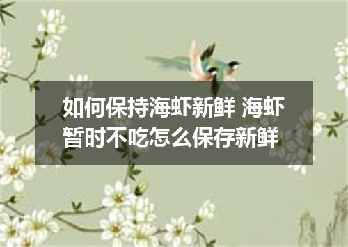 如何保持海虾新鲜 海虾暂时不吃怎么保存新鲜