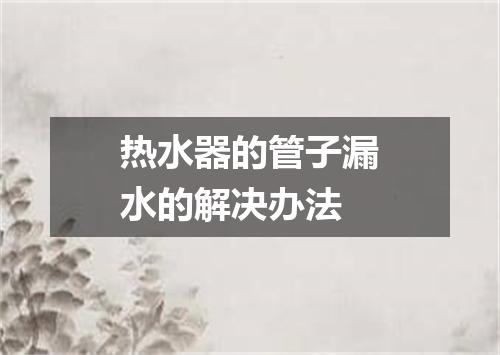 热水器的管子漏水的解决办法