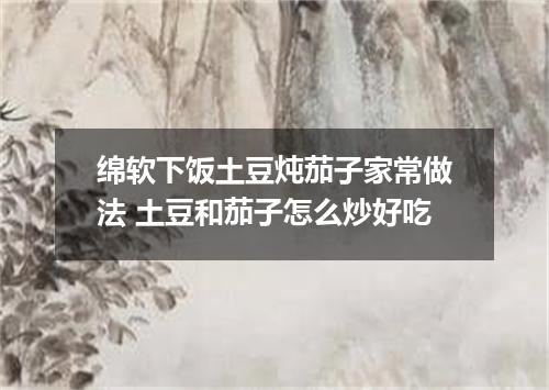 绵软下饭土豆炖茄子家常做法 土豆和茄子怎么炒好吃