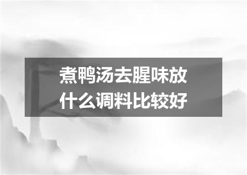 煮鸭汤去腥味放什么调料比较好