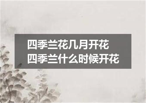 四季兰花几月开花 四季兰什么时候开花