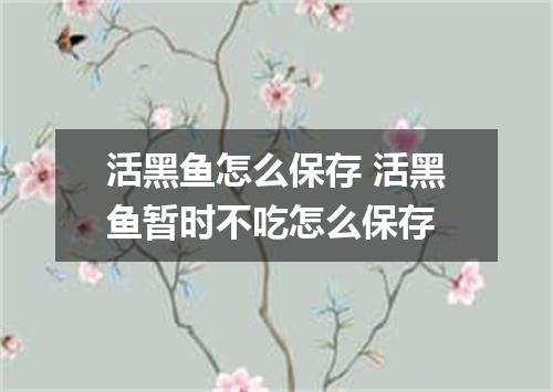 活黑鱼怎么保存 活黑鱼暂时不吃怎么保存