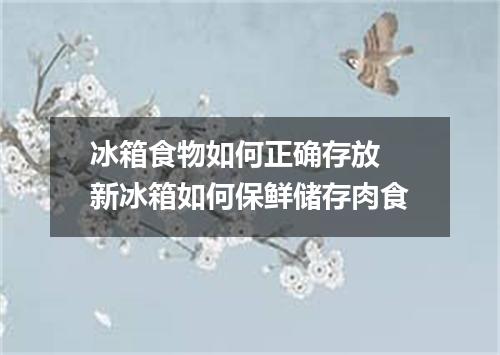 冰箱食物如何正确存放 新冰箱如何保鲜储存肉食