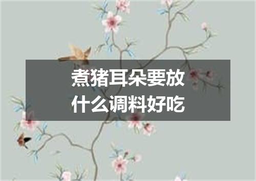 煮猪耳朵要放什么调料好吃