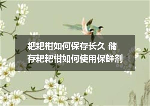 耙耙柑如何保存长久 储存耙耙柑如何使用保鲜剂