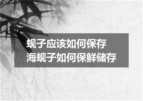蚬子应该如何保存 海蚬子如何保鲜储存