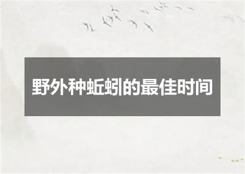 野外种蚯蚓的最佳时间