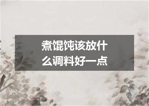 煮馄饨该放什么调料好一点