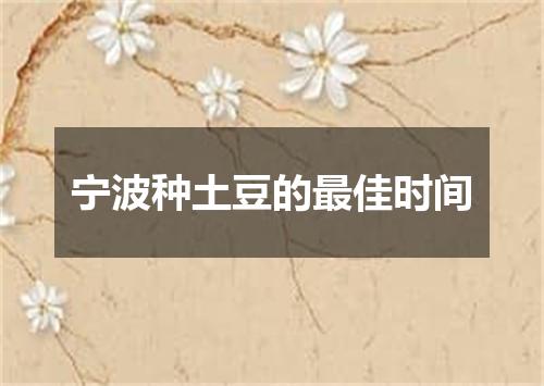 宁波种土豆的最佳时间