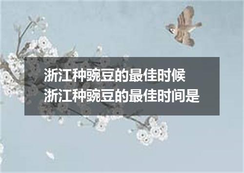 浙江种豌豆的最佳时候 浙江种豌豆的最佳时间是