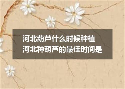 河北葫芦什么时候种植 河北种葫芦的最佳时间是