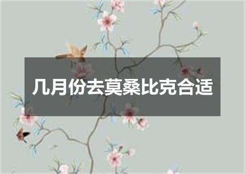 几月份去莫桑比克合适