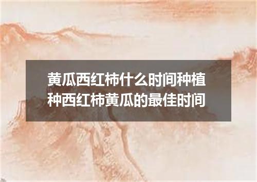 黄瓜西红柿什么时间种植 种西红柿黄瓜的最佳时间