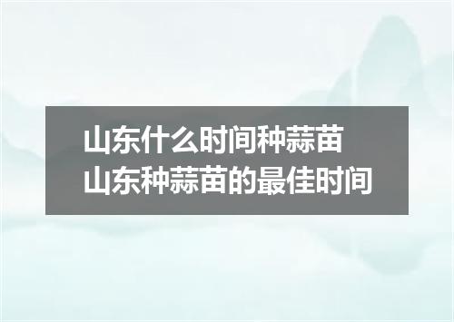 山东什么时间种蒜苗 山东种蒜苗的最佳时间