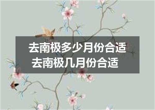 去南极多少月份合适 去南极几月份合适