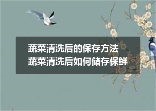 蔬菜清洗后的保存方法 蔬菜清洗后如何储存保鲜