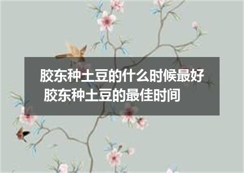 胶东种土豆的什么时候最好 胶东种土豆的最佳时间