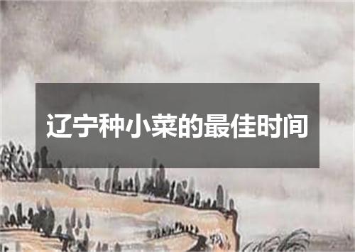辽宁种小菜的最佳时间