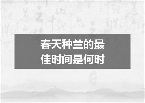 春天种兰的最佳时间是何时