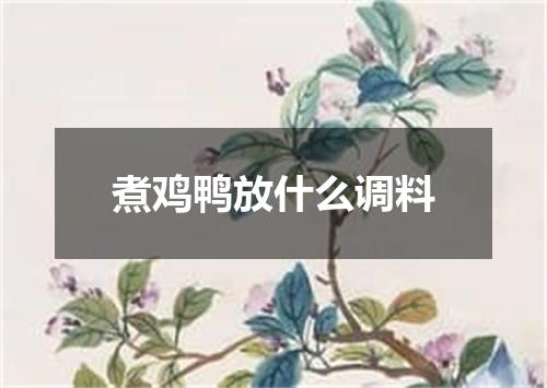 煮鸡鸭放什么调料