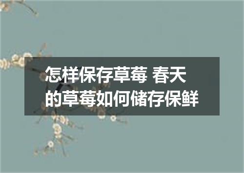 怎样保存草莓 春天的草莓如何储存保鲜
