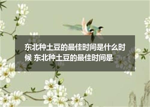 东北种土豆的最佳时间是什么时候 东北种土豆的最佳时间是