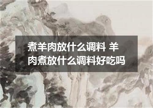 煮羊肉放什么调料 羊肉煮放什么调料好吃吗