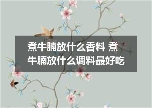 煮牛腩放什么香料 煮牛腩放什么调料最好吃