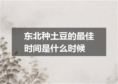 东北种土豆的最佳时间是什么时候