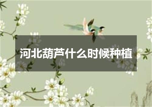 河北葫芦什么时候种植