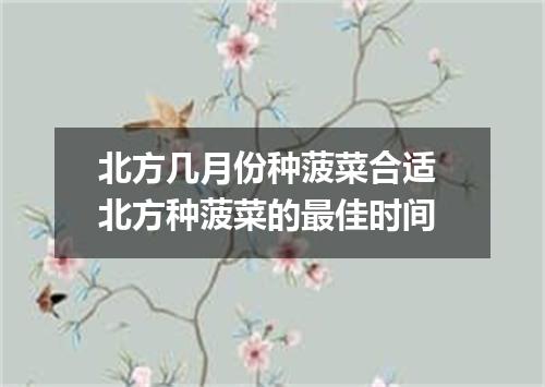 北方几月份种菠菜合适 北方种菠菜的最佳时间
