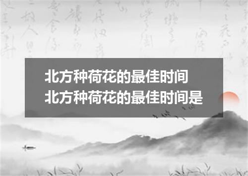 北方种荷花的最佳时间 北方种荷花的最佳时间是