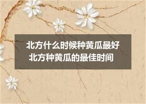 北方什么时候种黄瓜最好 北方种黄瓜的最佳时间